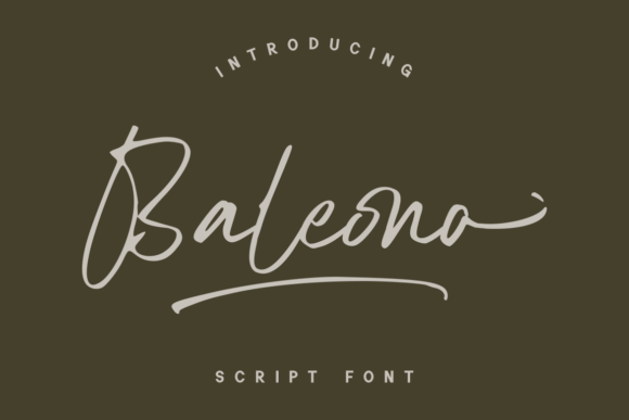 Baleono: A Handwritten Font That Elevates Modern Web Design